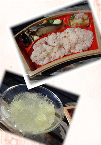 桜弁当♪