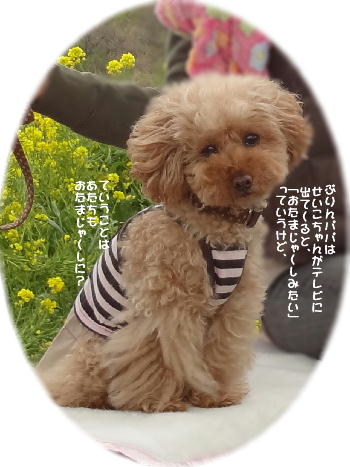 おたまちゃん?