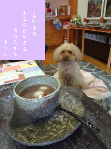 きごなし