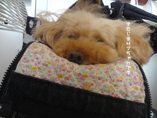 3_20130518235554.jpg