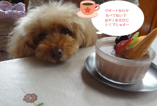 3_20130522225537.jpg