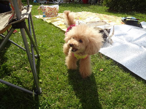 3_20130608235853.jpg