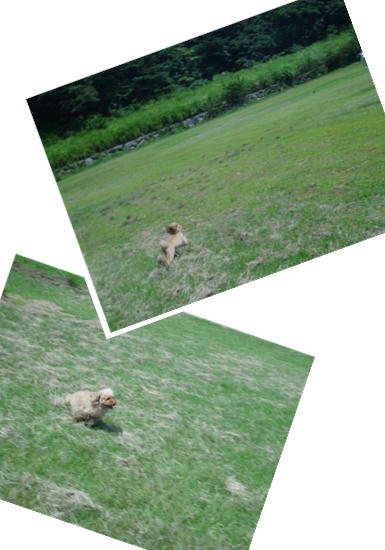 8_20130424213324.jpg