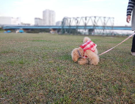 DSC03764.jpg