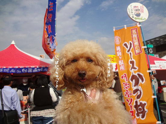 DSC03797.jpg
