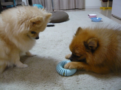 002_convert_20131203143320.jpg