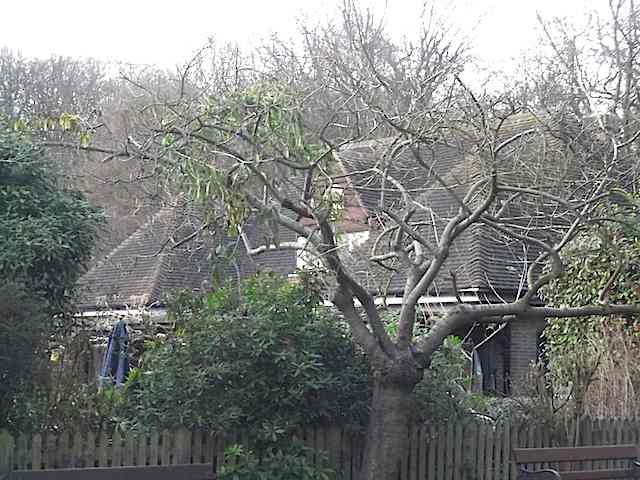 2013-02-16 hw9