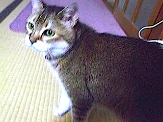 2012-09-07 cha2