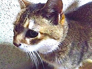 2012-09-07 cha