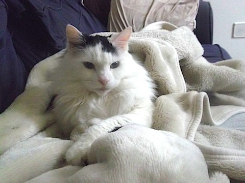 2013-05-22 さむ2