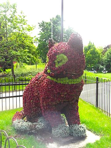 2013-06-01 nekoshokubutu