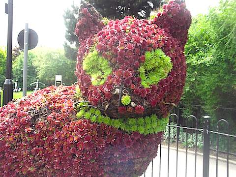 2013-06-01 nekoauu