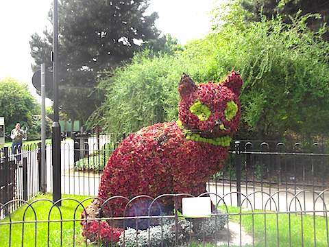 2013-06-01 neko1