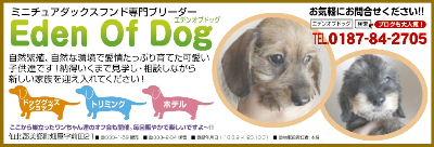 10月エデンオブドッグ様