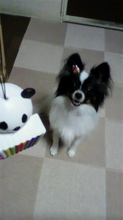 2009090219500000.jpg