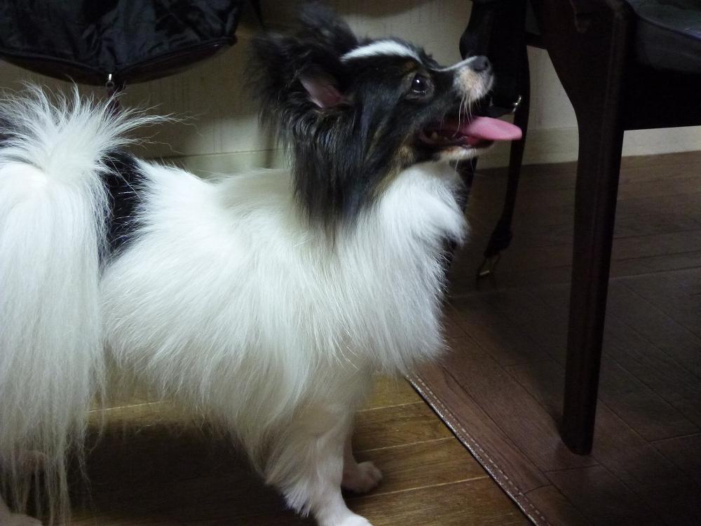 画像20110821 029.JPG