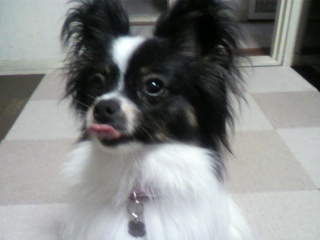 2010091417450003.jpg