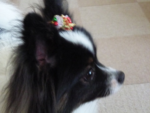 P1000270.JPG