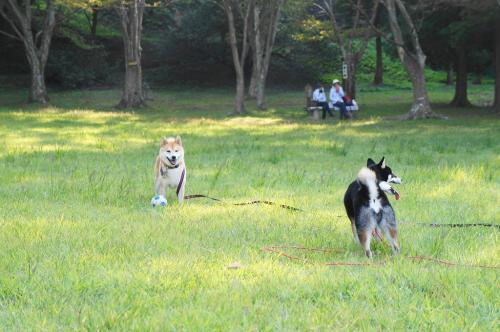 DSC03094 (1)