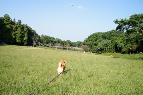 DSC03079.jpg