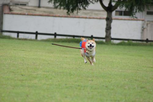 DSC04482.jpg