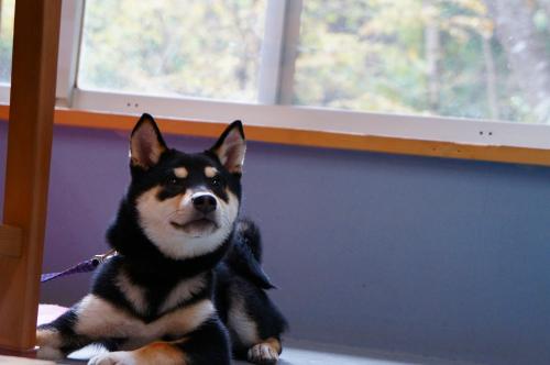 DSC04705.jpg