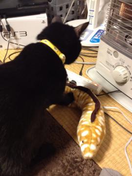 20130226115046.jpg