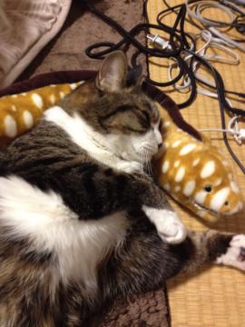 20130226164652.jpg