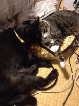 20130227125815.jpg