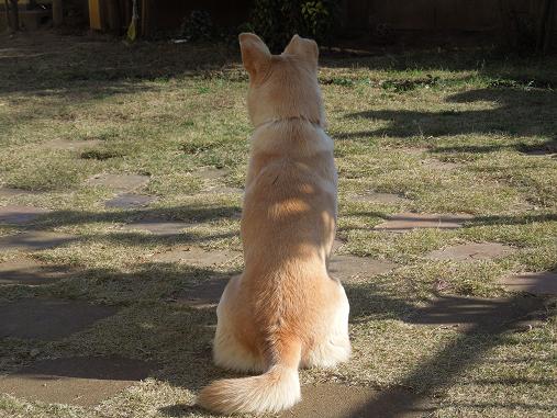 DSCN2958.jpg