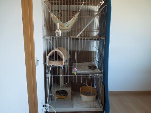 DSCN3136.jpg