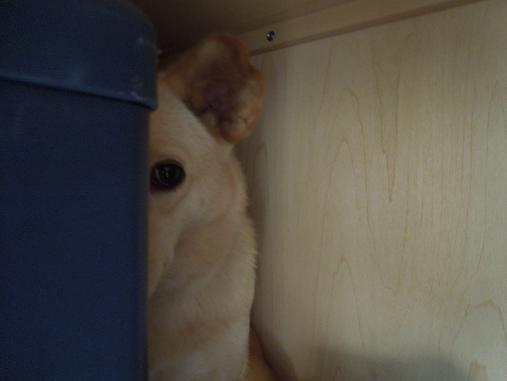 DSCN5609.jpg