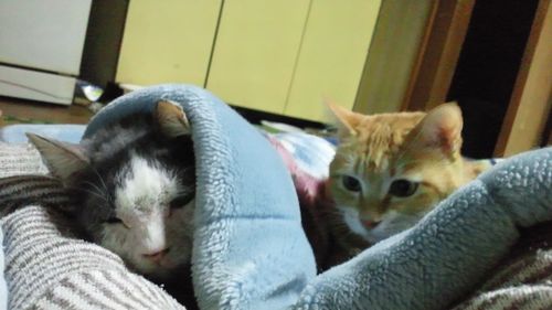 2011111017001201b.jpg