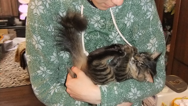 DSCF0977.jpg