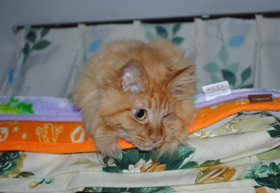 DSC_0654_convert_20120416180459.jpg
