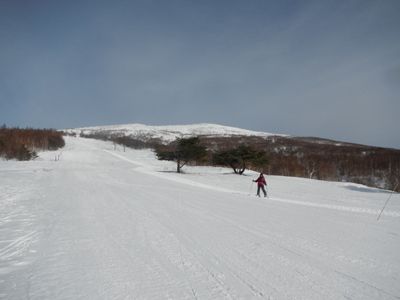 gDSCN2151.jpg