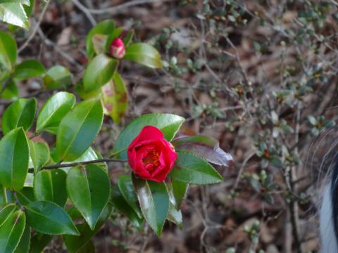 001_20130303091736.jpg
