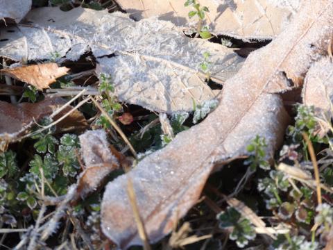 010_20130304212117.jpg