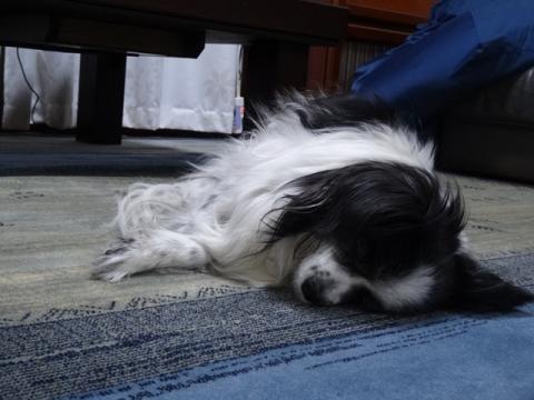 018_20130601223333.jpg