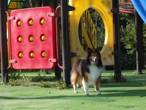 019_20130702161056.jpg