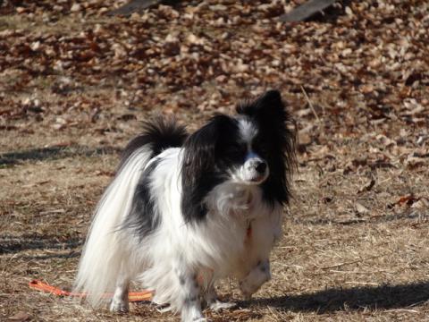 020_20130304212118.jpg
