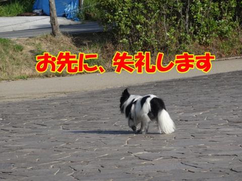 031_20130702161136.jpg