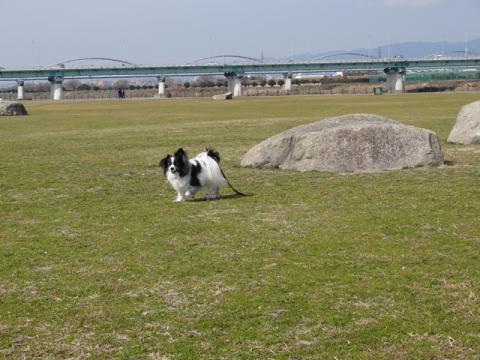 042_20130227212945.jpg