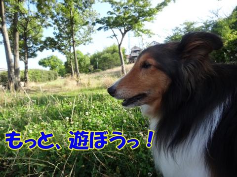 043_20130702161141.jpg
