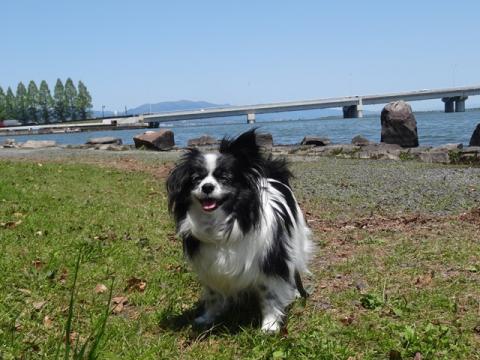 044_20130511182836.jpg