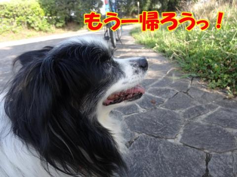 044_20130702161143.jpg