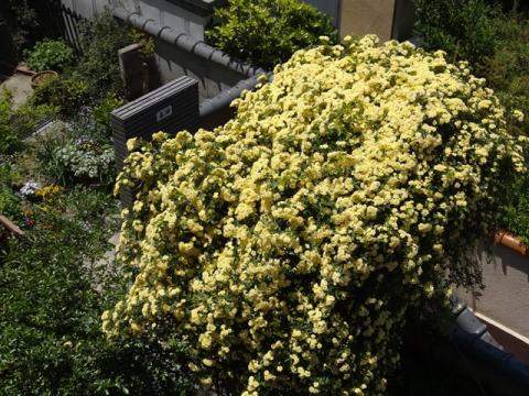 054_20130501220749.jpg