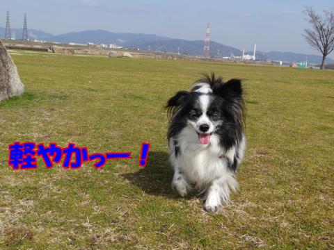 057_20130227212957.jpg