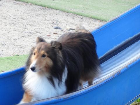 057_20130501220754.jpg
