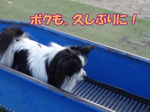 058_20130501220835.jpg
